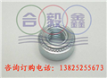 压铆螺母